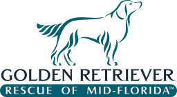 Upcoming Events Golden Retriever Rescue Of Mid Florida Inc