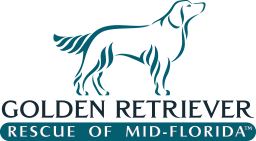 Golden Retriever Rescue of Mid Florida