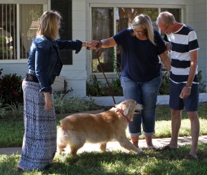 golden being surrendered