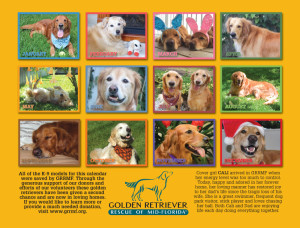 2016 GRRMF calendar back
