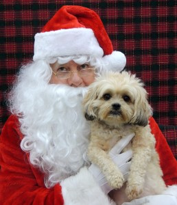 Santa with shitzhu