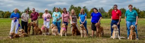 volunteers and their goldens