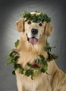 golden with holly head wreath and necklace