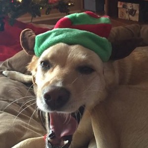 golden girl with Christmas hat