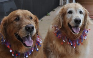 3328JennyOprahand 3327BearOdyBFP