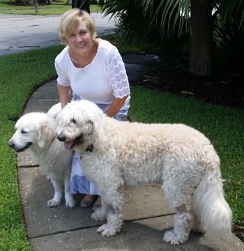 Golden Shelby with mom