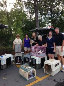 grrmf-lft-louisiana-pup-transport-august-2016