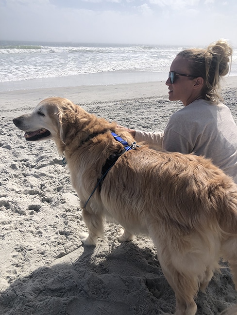A person sitting beside a Golden Retriever on a quiet beach, gently resting a hand on the dog while looking out at the waves.