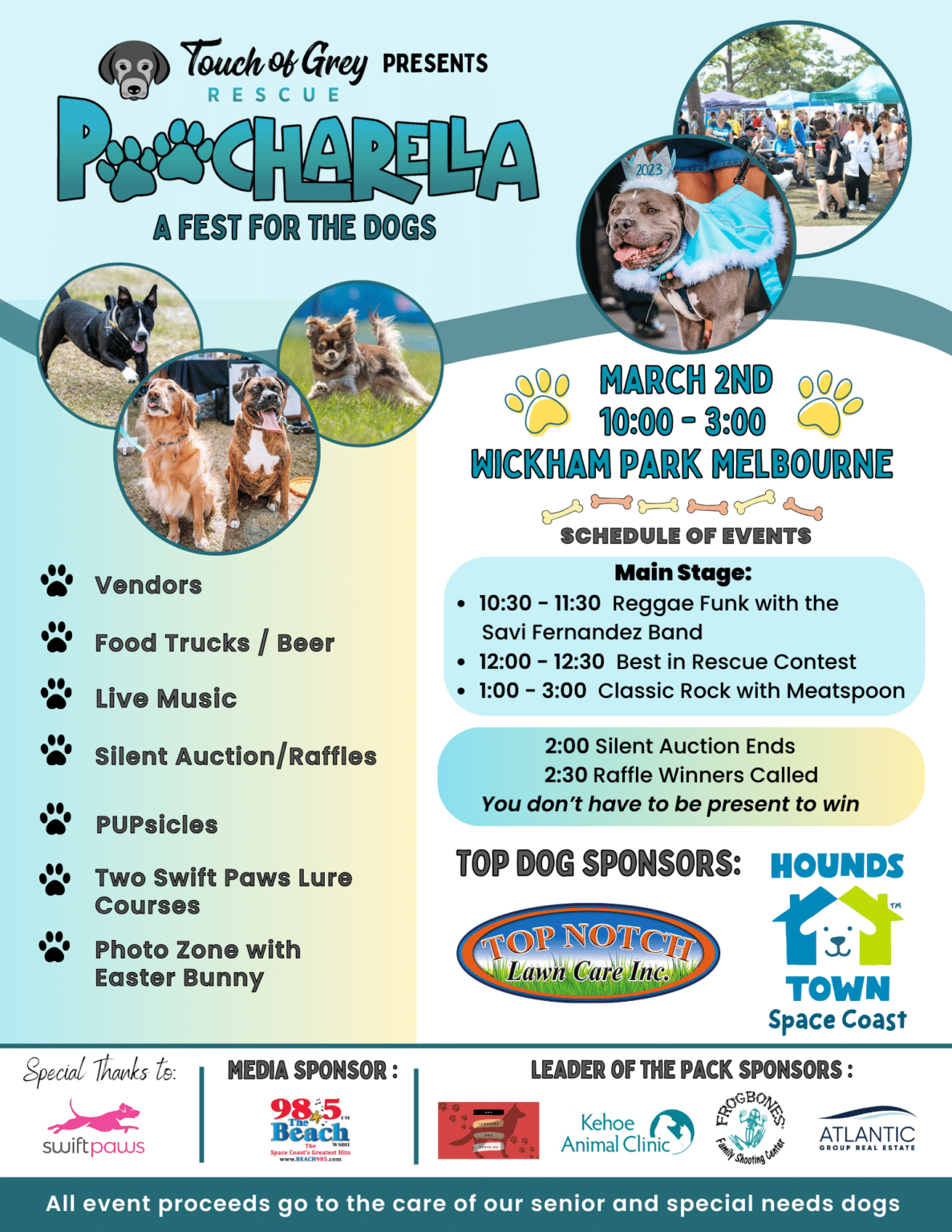Touch of Grey Poocharella 2024 3rd Annual Fest Fur The Dogs Golden Retriever Rescue of Mid