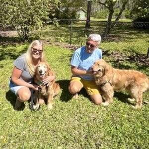 A couple squatting next to their two golden retrievers.