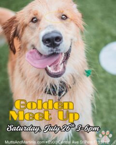 Graphic for a Golden Meet Up featuring a golden retriever with its mouth open on a green background.