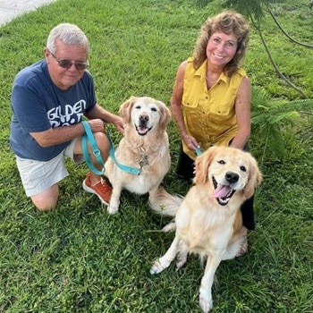 Two golden retrievers sitting on grass with two people.