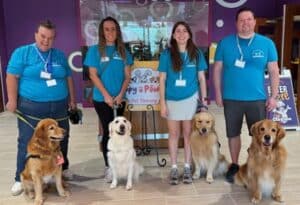 Four people with four golden retrievers wearing turquoise vests.
