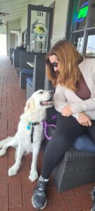 A cream-colored golden retriever sitting looking up at a woman.