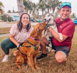 A smiling man and woman kneeling on grass with a golden retriever and a husky.