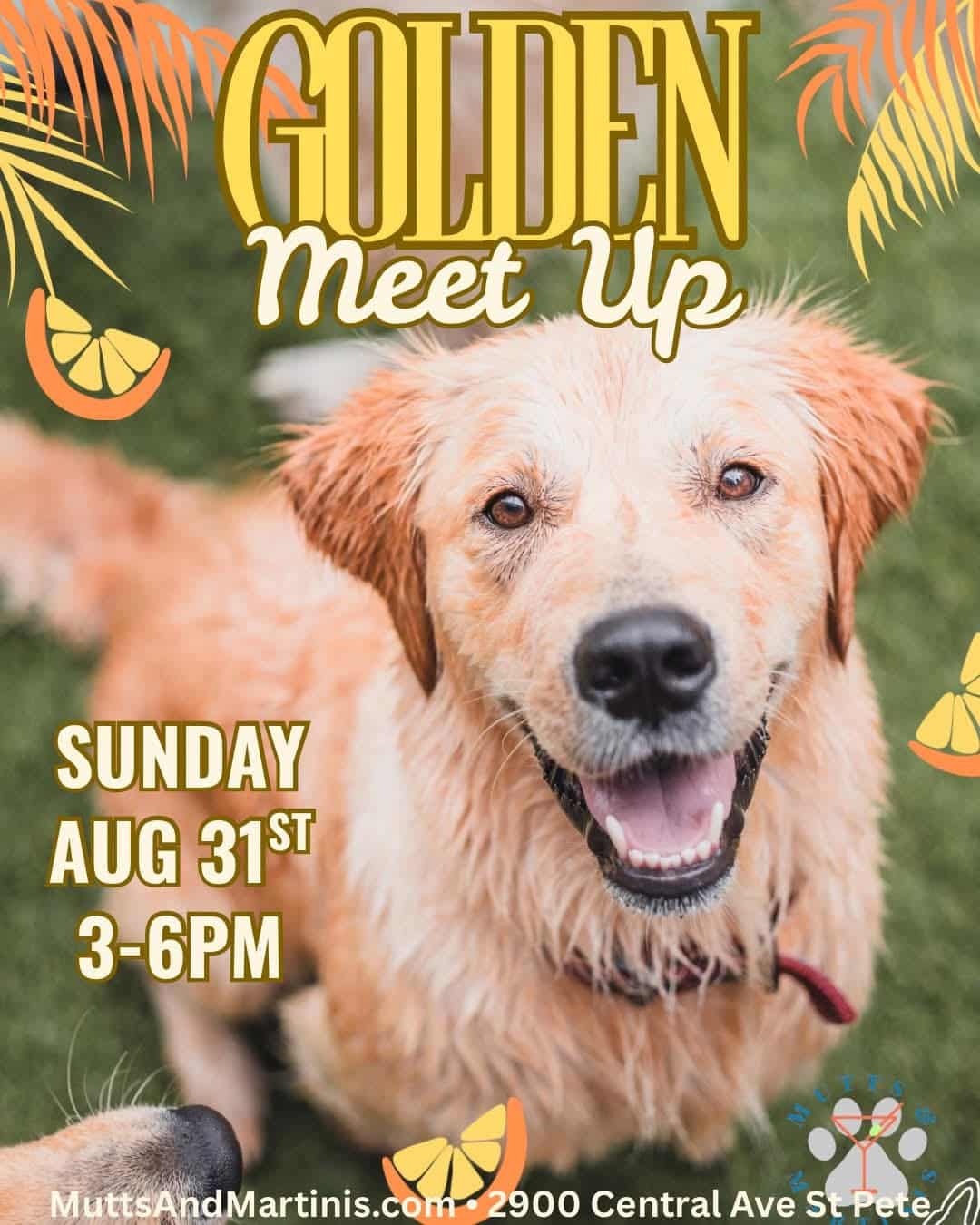A flyer advertising the Golden Meet up on August 31st 2025/