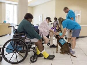 Two volunteers standing over a chocolate-colored dog wearing a Hearts of Gold vest as it is petted by people in wheelchairs.