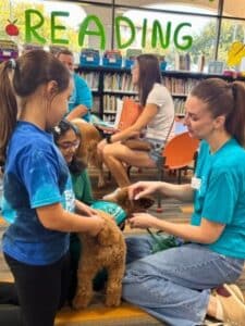Miniature poodle therapy dog wearing a teal vest interacting with children during a reading event at the library.