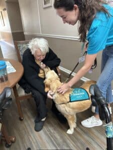 Golden retriever wearing a Hearts of Gold therapy vest standing beside an elderly woman seated at a table in a senior living community.