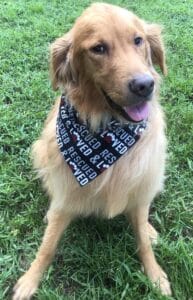 Memory of Melanie Bontrager for 35th anniversary.