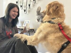 Golden Retriever playing with toy on mouth. Golden Retriever with a paw on person's knee.