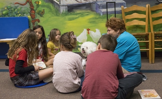 A white fluffy therapy dog reading with children.