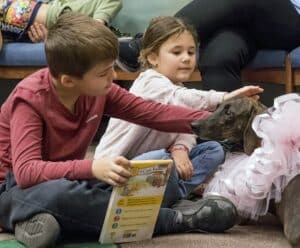 Therapy team dashound participating in book reading