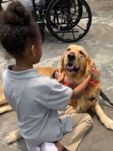 Therapy dog Boomer Davies lying on the floor while being gently petted by a child during a visit.