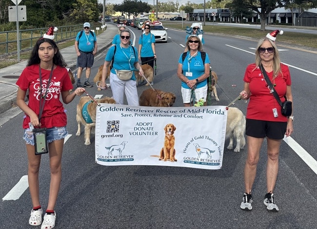 Members of the Hearts of Gold therapy team walking in a parade with the GRRMF banner.