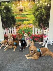 Eight dogs of various breeds, several wearing Hearts of Gold vests, sitting and lying in front of a garden-themed backdrop.