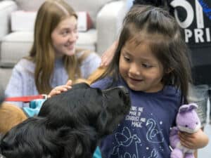 Black retriever indoors being petted by a child holding a purple plush toy.