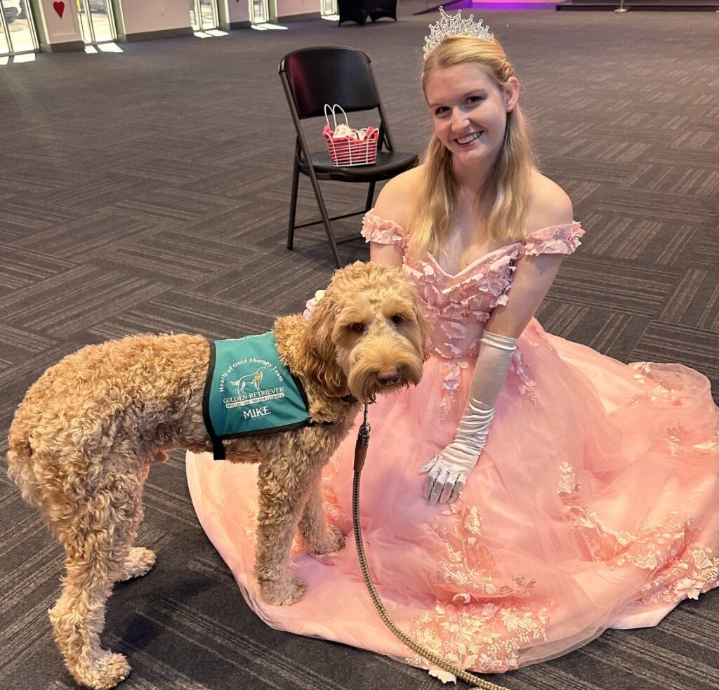 Light curly dog wearing blue therapy vest, standing calmly beside person in pink gown.
