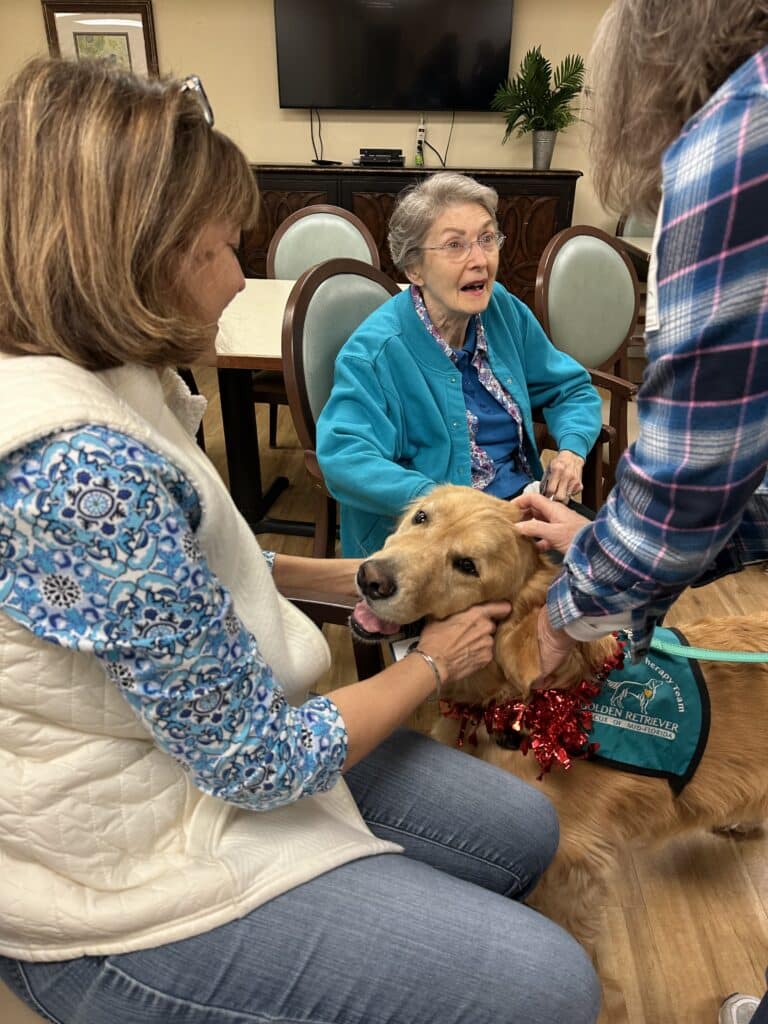 Golden retriever wearing a Hearts of Gold vest and red tinsel being petted by two women.