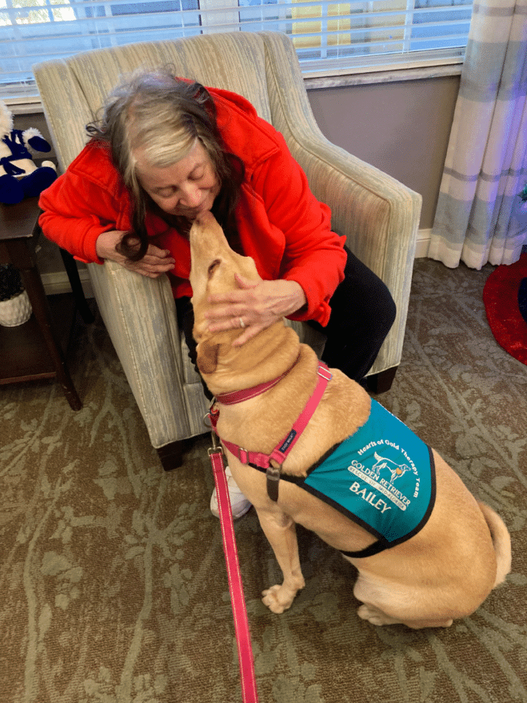 Yellow Labrador Retriever mix wearing a therapy vest sitting beside a person and showing affection during a visit, part of the Hearts of Gold therapy team.