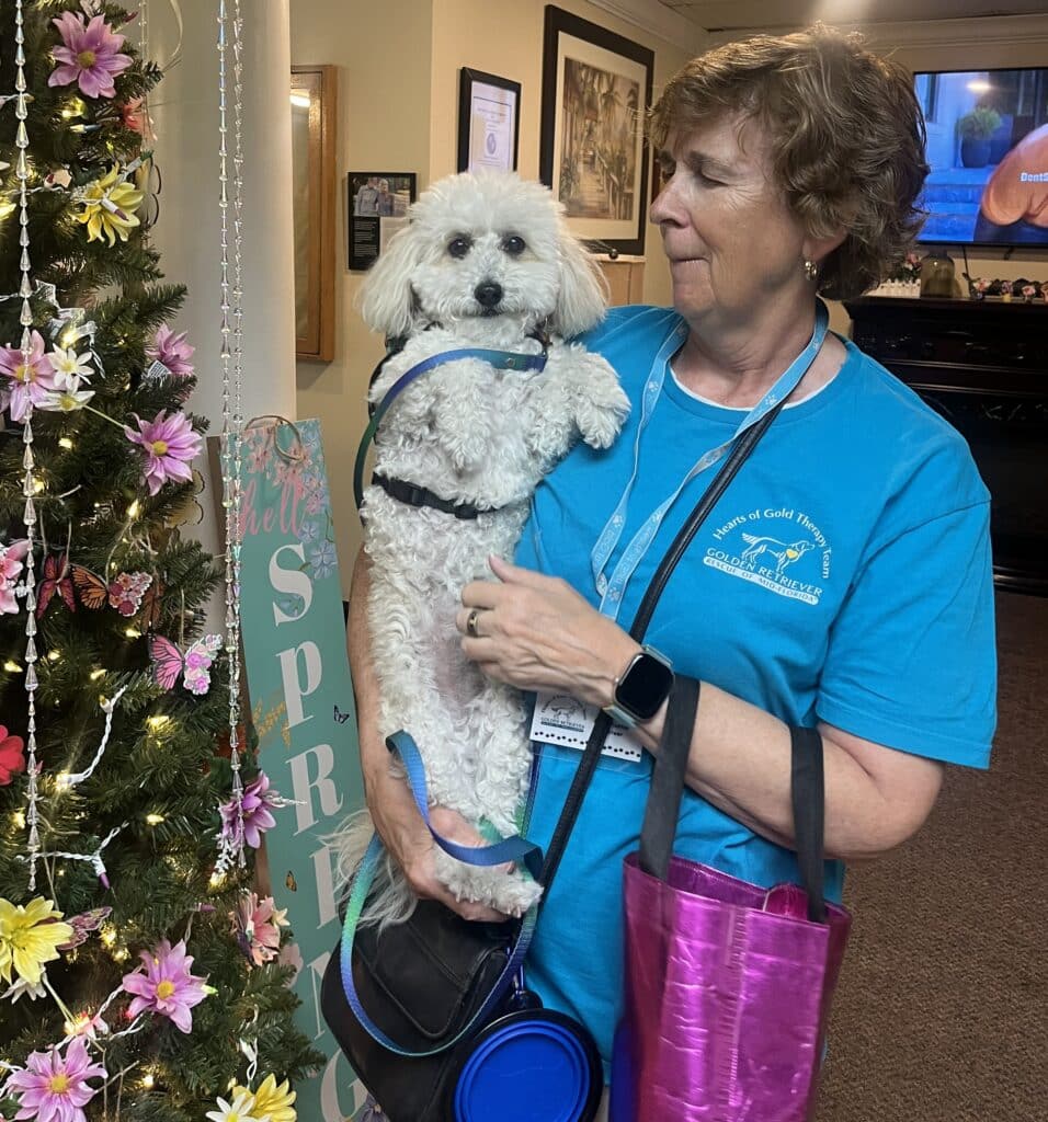 A volunteer holds a poodle next to a decorated tree.