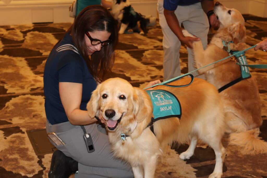 Golden retriever wearing a Hearts of Gold vest interacting with a woman, while another golden retriever sits behind.