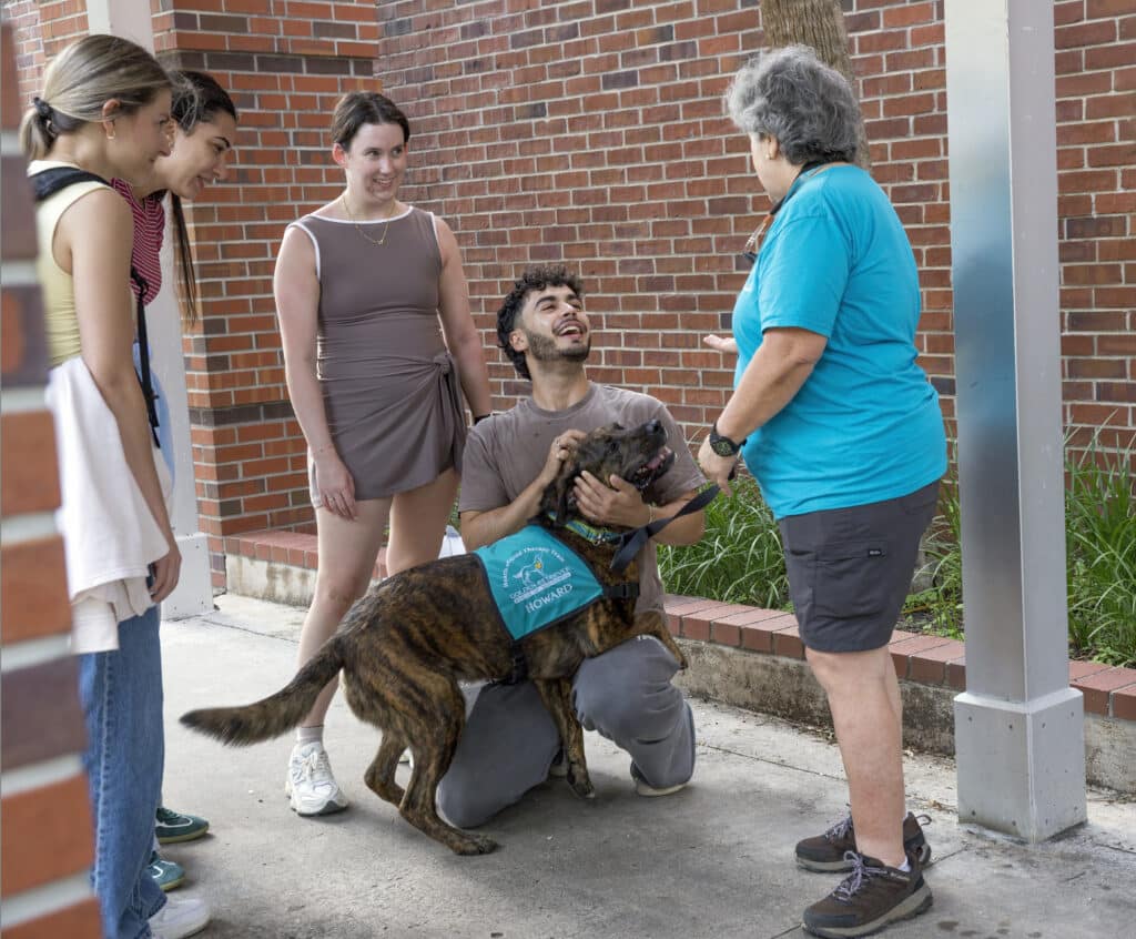 Brindle dog wearing a Hearts of Gold vest stands while being held by a kneeling man, surrounded by a group of people.