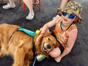 Sadie, the Hearts of gold golden retriever laying on her side with a small child petting her.