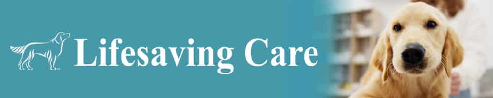 Life Saving Support in Gift Registry