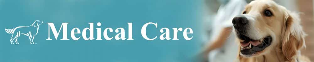 Medical Care Support in Gift Registry Fundraiser
