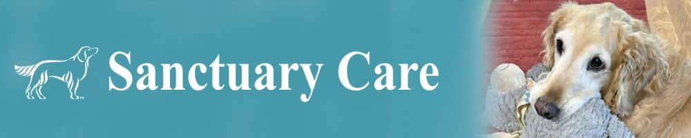 Sanctuary Support Care in Gift Registry Fundraiser