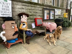 Angus & Mungo, 2 golden retrievers, sitting by Woody from toy Story.