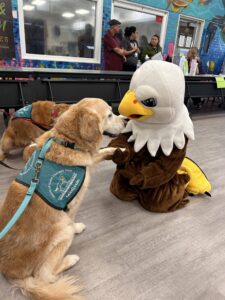 Golden Retriever called Madison wearing a Hearts of Gold vest interacting with a person in an eagle mascot costume.