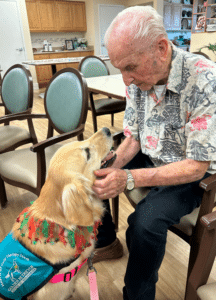 Golden Retriever wearing a Hearts of Gold therapy vest visiting with an elderly man seated in a chair during a therapy visit.