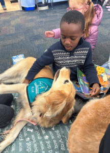 Golden Retriever lying on a blanket while a child pets her and reads a book during a Hearts of Gold reading session.