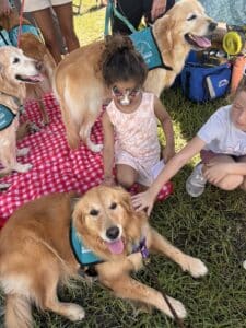 Young girl with face paint, petting golden retriever wearing a Hearts of Gold vest on a red-and-white checkered blanket.