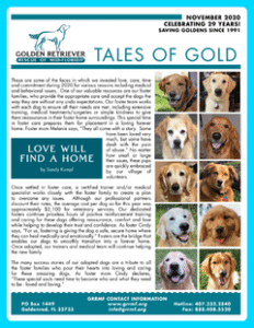 November 2020 newsletter cover