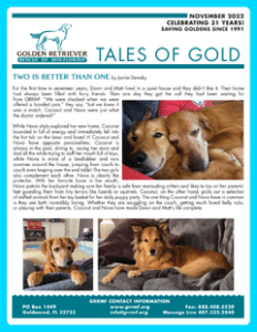 November 2022 newsletter cover