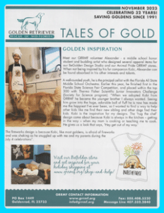 November 2023 newsletter cover
