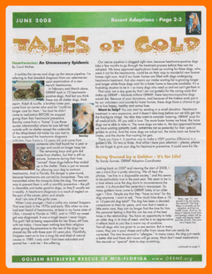 June 2008 newsletter cover
